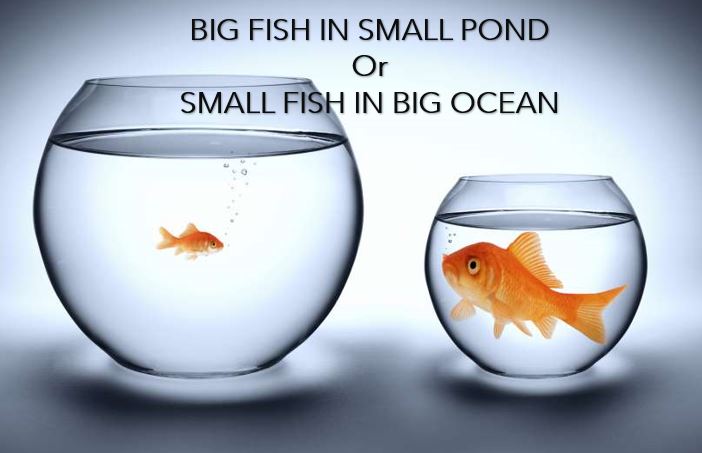 WHAT IS BETTER - BIG FISH IN SMALL POND ? or  SMALL FISH IN BIG OCEAN?